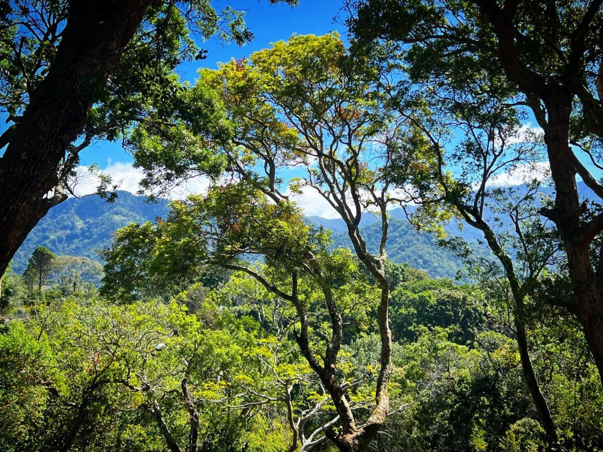Finca Panda ボケテ エクステリア 写真
